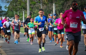 Desafio Nuts 2024